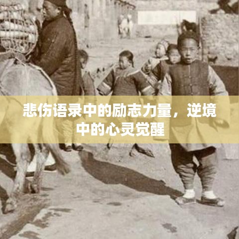 悲伤语录中的励志力量，逆境中的心灵觉醒