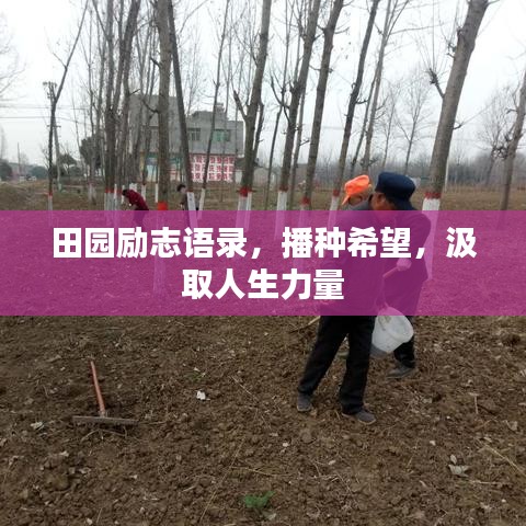 田园励志语录，播种希望，汲取人生力量