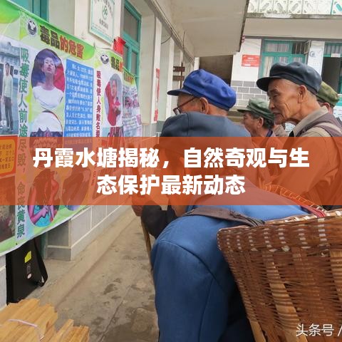 丹霞水塘揭秘，自然奇观与生态保护最新动态