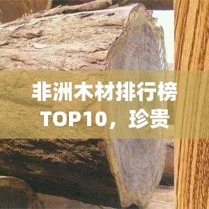 非洲木材排行榜TOP10，珍贵木种介绍与图片展示
