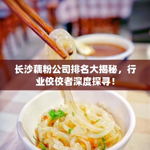 长沙藕粉公司排名大揭秘，行业佼佼者深度探寻！