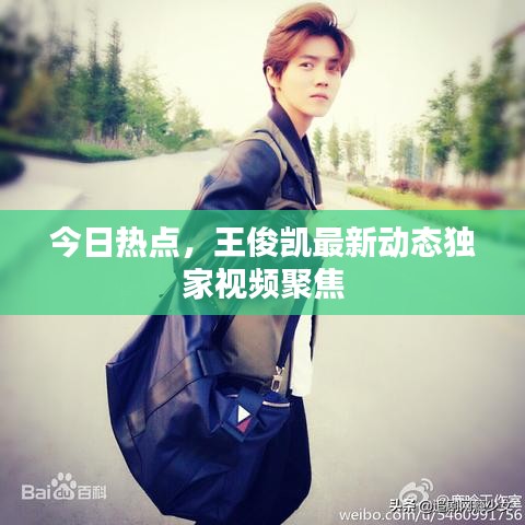 今日热点，王俊凯最新动态独家视频聚焦
