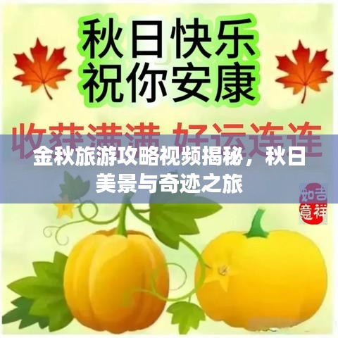 金秋旅游攻略视频揭秘，秋日美景与奇迹之旅
