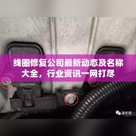 线圈修复公司最新动态及名称大全，行业资讯一网打尽