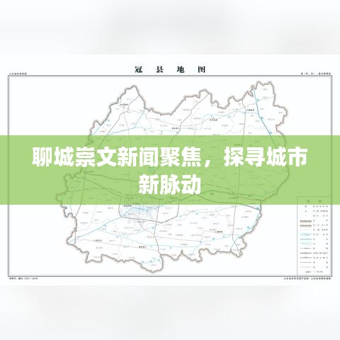 聊城崇文新闻聚焦，探寻城市新脉动