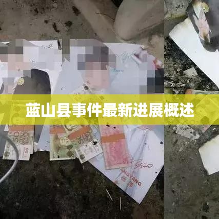 蓝山县事件最新进展概述