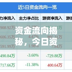 资金流向揭秘，今日资金净买入明细及市场深度解读