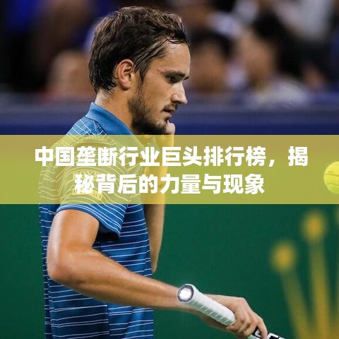 中国垄断行业巨头排行榜，揭秘背后的力量与现象
