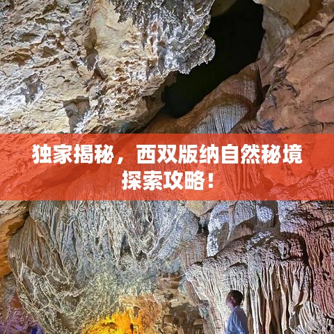 独家揭秘，西双版纳自然秘境探索攻略！