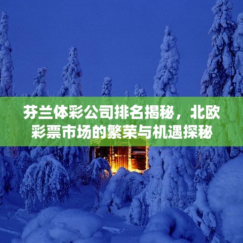 芬兰体彩公司排名揭秘，北欧彩票市场的繁荣与机遇探秘