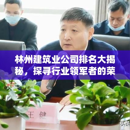 林州建筑业公司排名大揭秘，探寻行业领军者的荣耀与奥秘