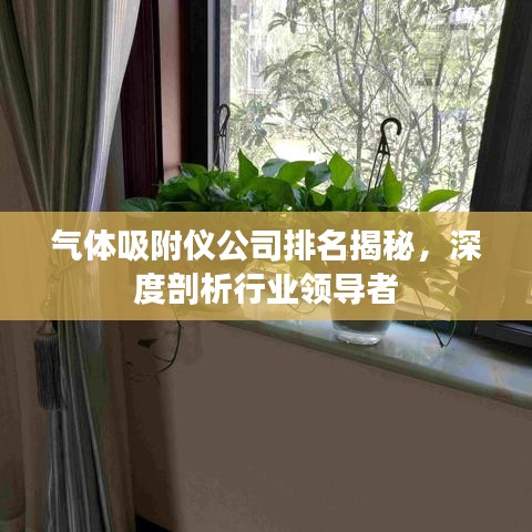 气体吸附仪公司排名揭秘，深度剖析行业领导者