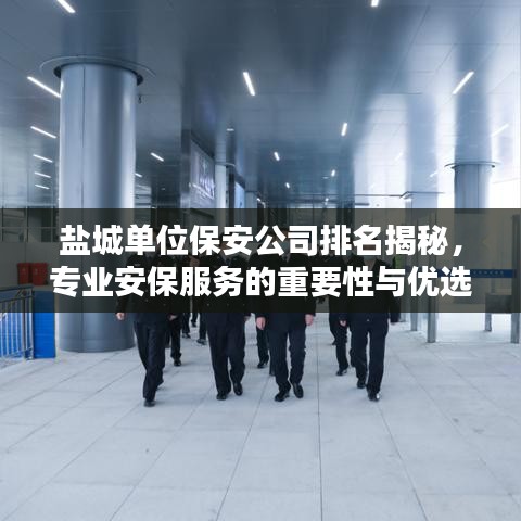 盐城单位保安公司排名揭秘，专业安保服务的重要性与优选推荐