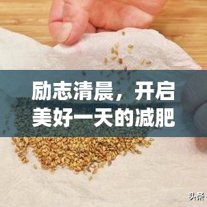 励志清晨，开启美好一天的减肥正能量语录