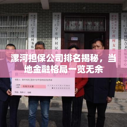 漯河担保公司排名揭秘，当地金融格局一览无余