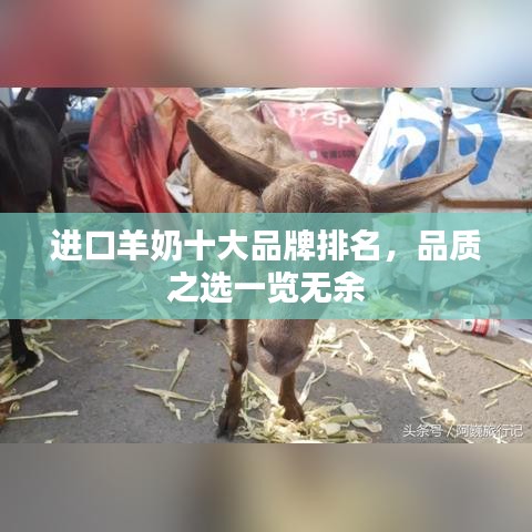 进口羊奶十大品牌排名，品质之选一览无余