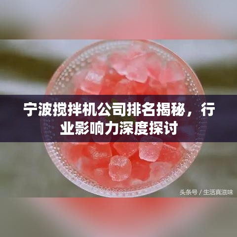 宁波搅拌机公司排名揭秘，行业影响力深度探讨