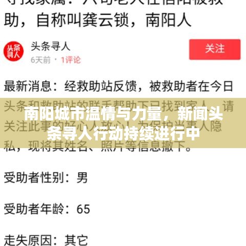 南阳城市温情与力量，新闻头条寻人行动持续进行中