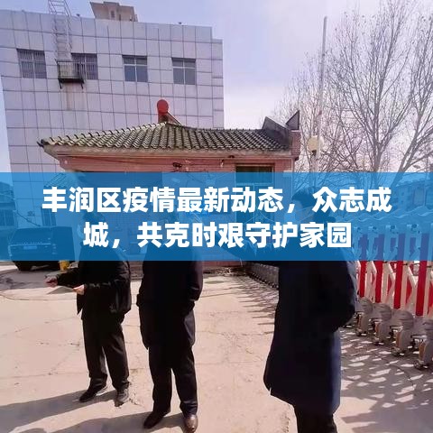 丰润区疫情最新动态，众志成城，共克时艰守护家园