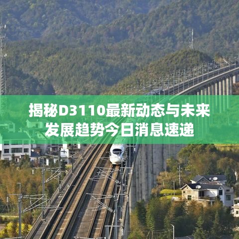 揭秘D3110最新动态与未来发展趋势今日消息速递