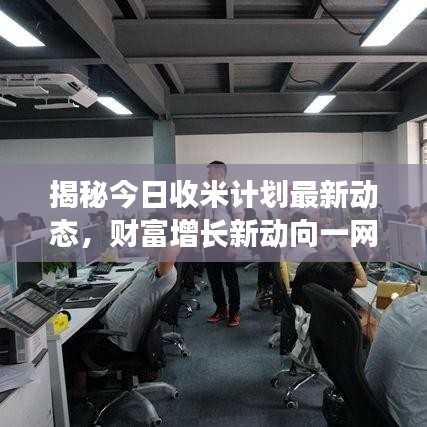 揭秘今日收米计划最新动态，财富增长新动向一网打尽