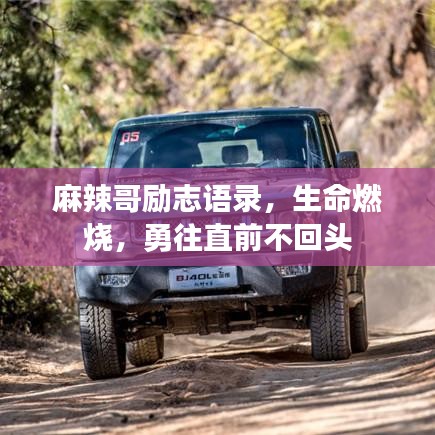 麻辣哥励志语录，生命燃烧，勇往直前不回头