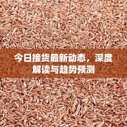今日接货最新动态，深度解读与趋势预测