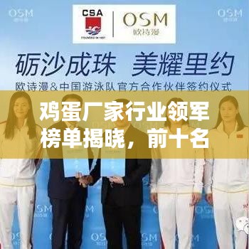 鸡蛋厂家行业领军榜单揭晓，前十名排名及深度探究