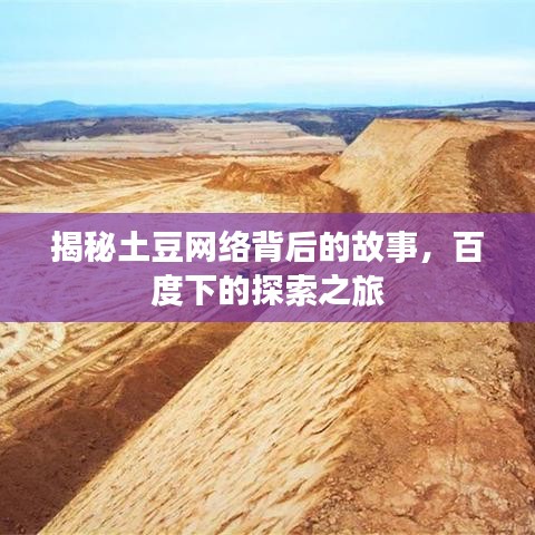 揭秘土豆网络背后的故事，百度下的探索之旅