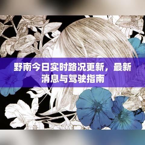 野南今日实时路况更新，最新消息与驾驶指南