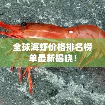 全球海虾价格排名榜单最新揭晓！