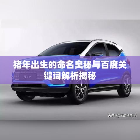 猪年出生的命名奥秘与百度关键词解析揭秘