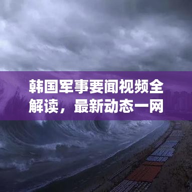 韩国军事要闻视频全解读，最新动态一网打尽
