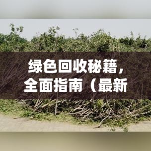 绿色回收秘籍，全面指南（最新更新）