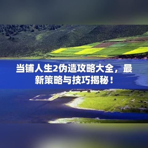 当铺人生2伪造攻略大全，最新策略与技巧揭秘！