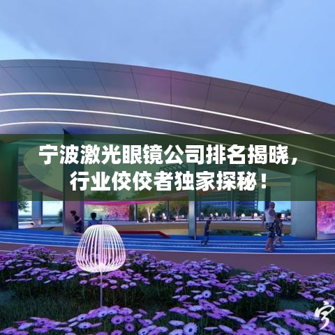 宁波激光眼镜公司排名揭晓，行业佼佼者独家探秘！