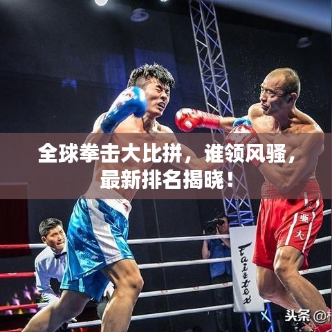 全球拳击大比拼，谁领风骚，最新排名揭晓！