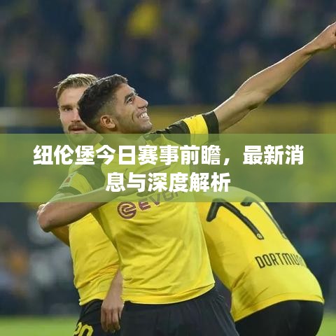 纽伦堡今日赛事前瞻，最新消息与深度解析