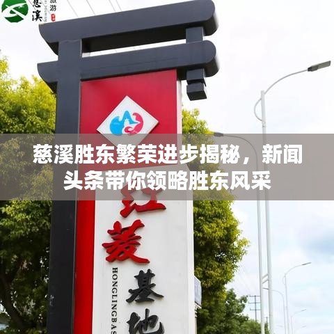 慈溪胜东繁荣进步揭秘，新闻头条带你领略胜东风采