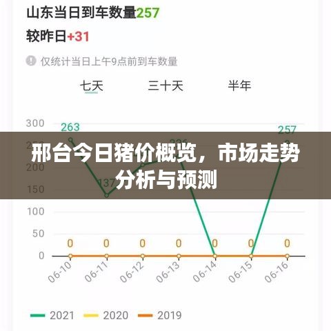 邢台今日猪价概览，市场走势分析与预测