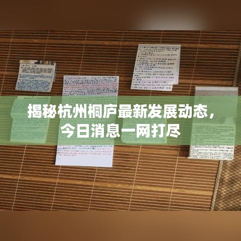 揭秘杭州桐庐最新发展动态，今日消息一网打尽
