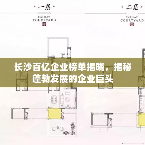长沙百亿企业榜单揭晓，揭秘蓬勃发展的企业巨头