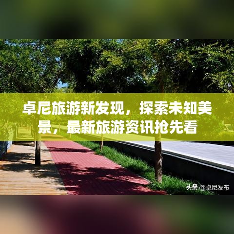 卓尼旅游新发现，探索未知美景，最新旅游资讯抢先看