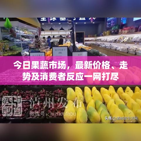 今日果蔬市场，最新价格、走势及消费者反应一网打尽