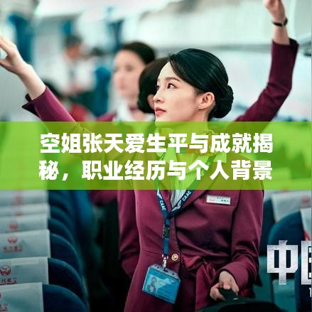 空姐张天爱生平与成就揭秘，职业经历与个人背景大起底！