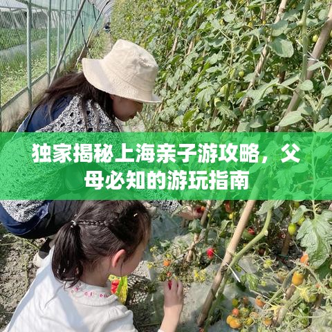 独家揭秘上海亲子游攻略，父母必知的游玩指南