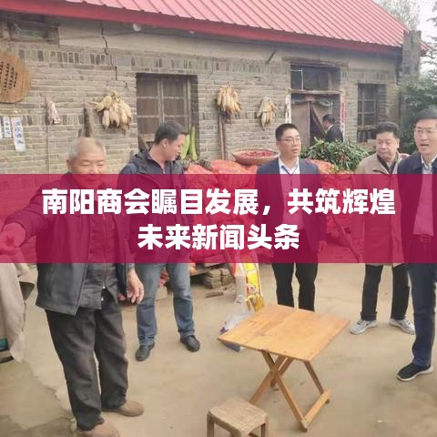 南阳商会瞩目发展，共筑辉煌未来新闻头条