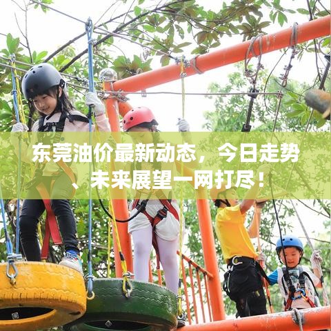 东莞油价最新动态，今日走势、未来展望一网打尽！