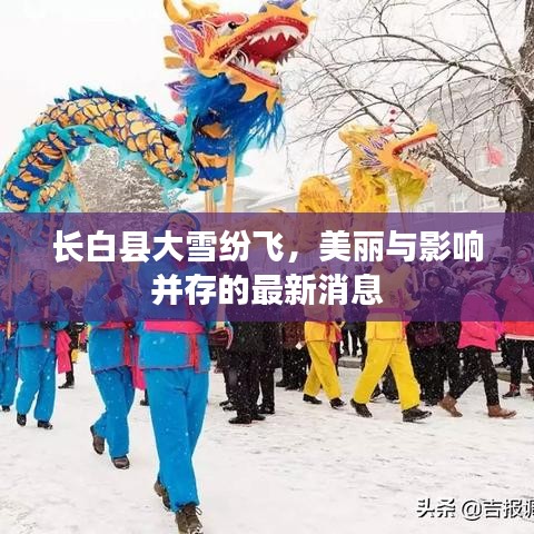 长白县大雪纷飞，美丽与影响并存的最新消息