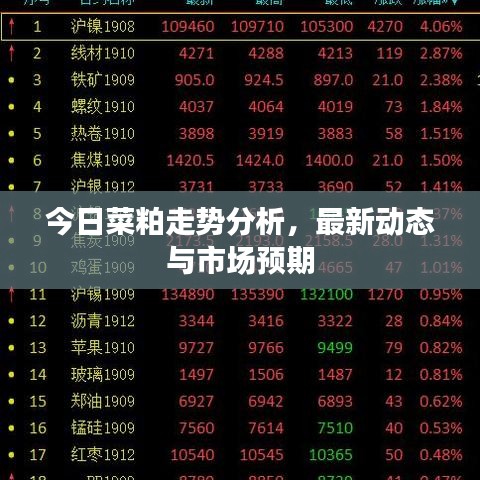 今日菜粕走势分析，最新动态与市场预期